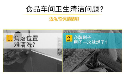 食品廠用清潔工具5020洗地刷 提升清潔效率與衛生標準的關鍵選擇