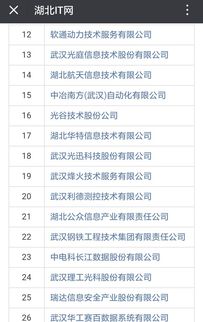 祝賀湖北47家企業(yè)獲評系統(tǒng)集成資質壹級和貳級 計算機信息系統(tǒng)集成服務再上層樓